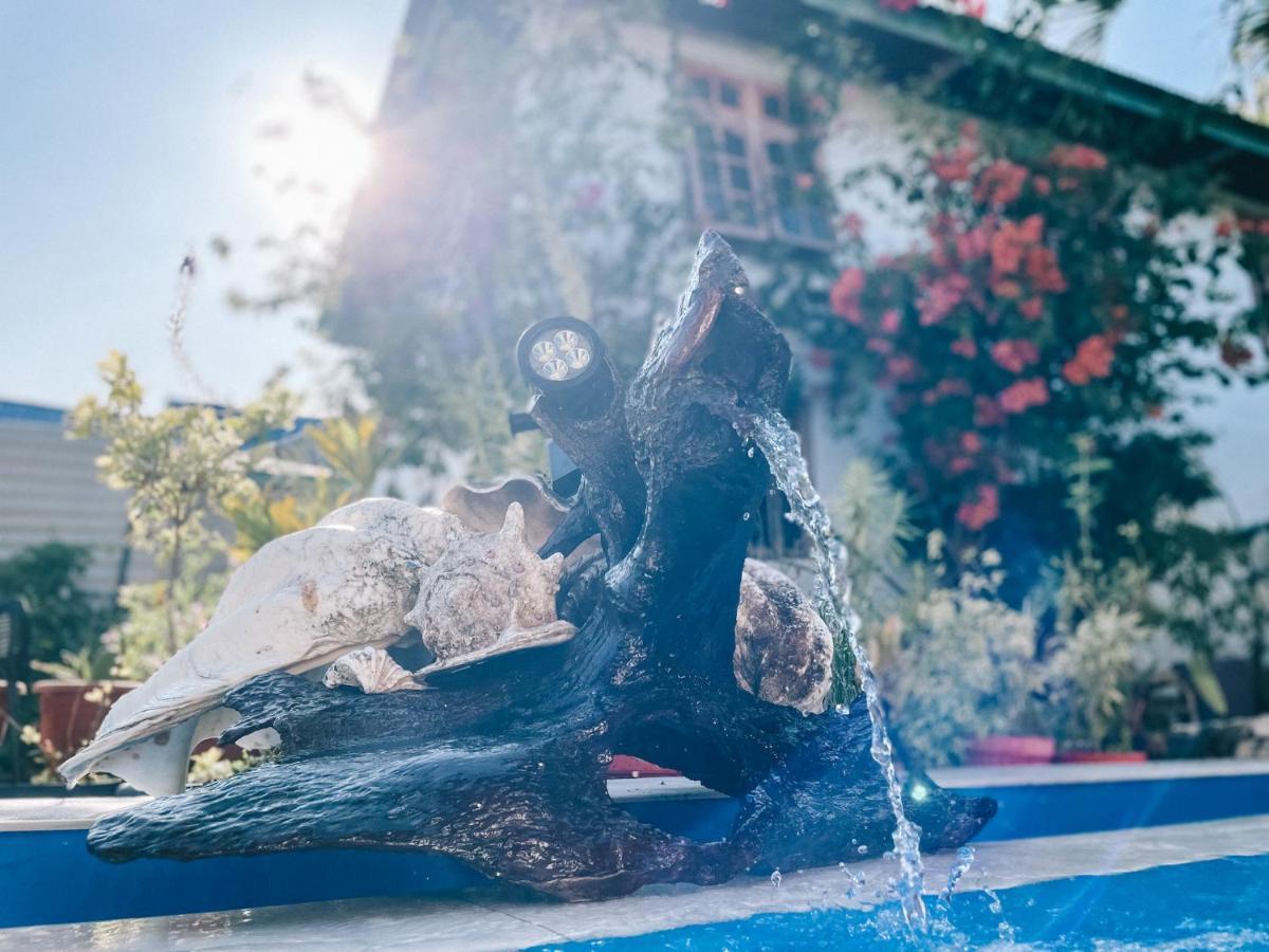 Cool Breeze Authentic Hotel Labuan Bajo Komodo Bagian luar foto